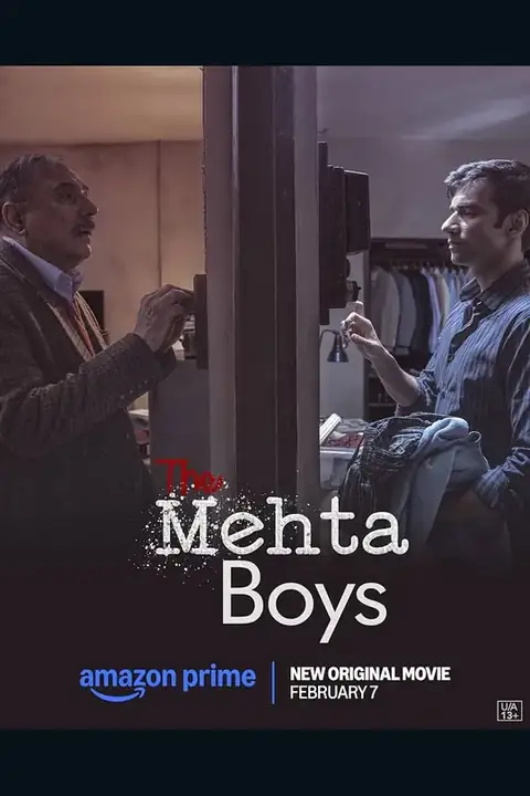 The Mehta Boys poster